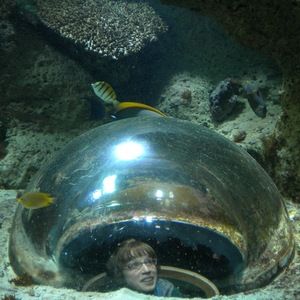 Meet your Posher, Sara